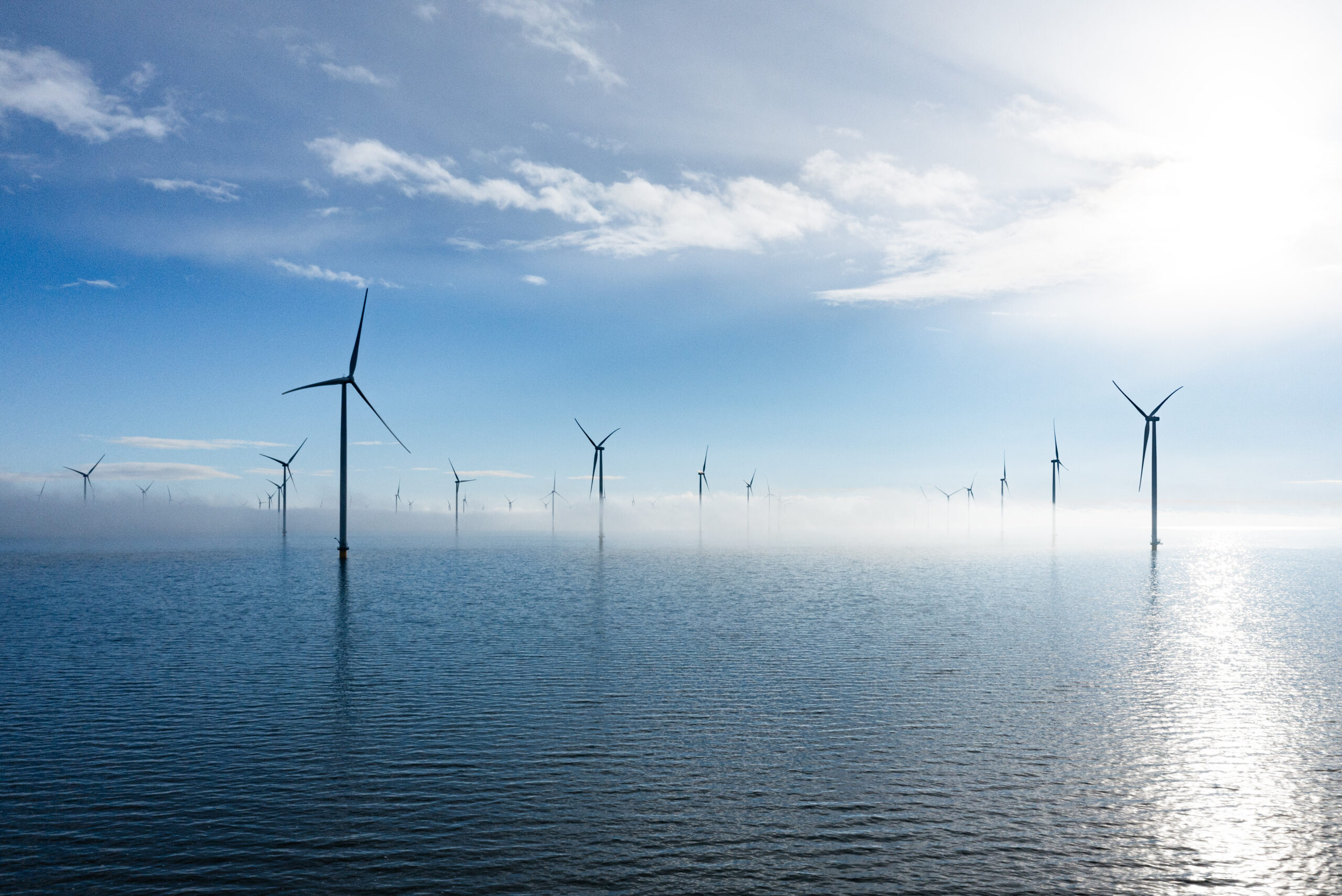 Windmill Park on the IJsselmeer